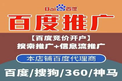 百度竞价广告运营全解析：成功案例揭秘